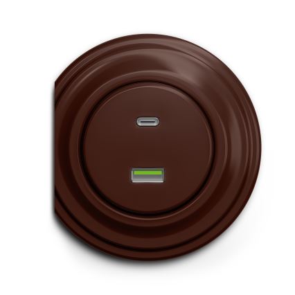 Reblig - Retro USB-pistikupesa A+C raamita, pruun