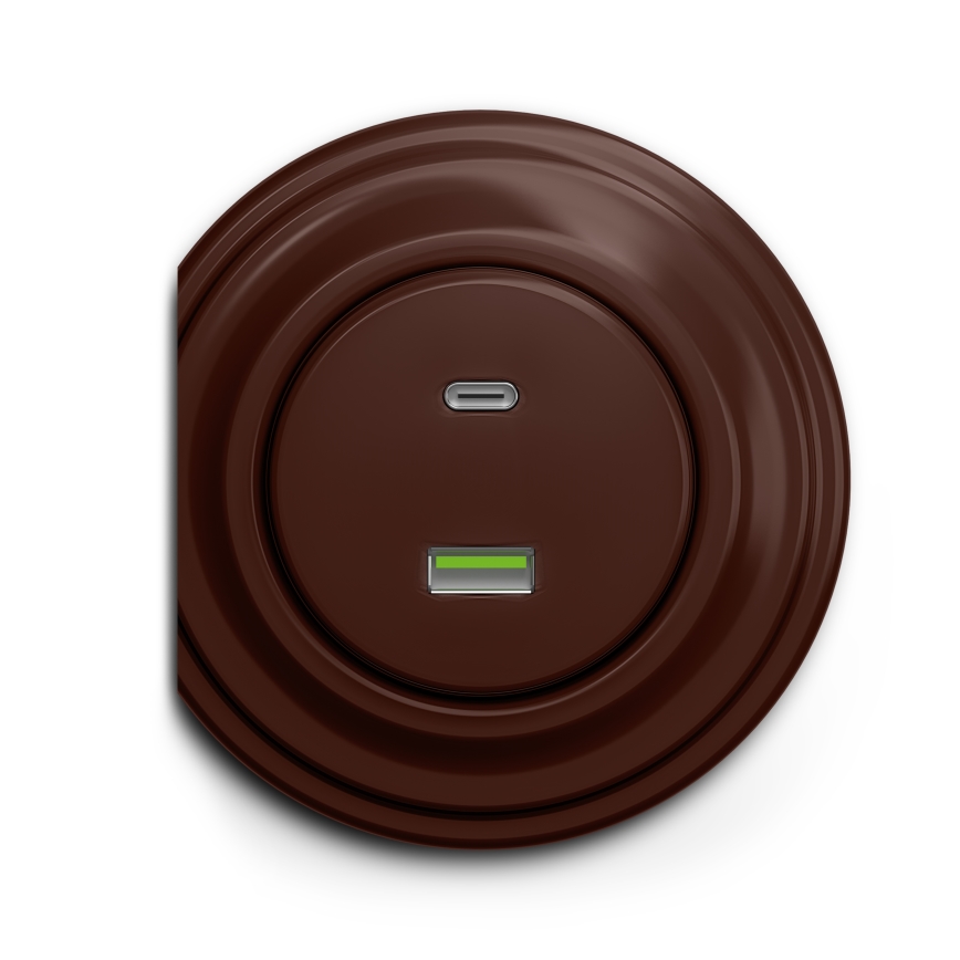 Reblig - Retro USB-pistikupesa A+C raamita, pruun