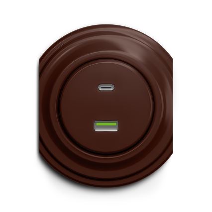 Reblig - Retro USB-pistikupesa A+C raamita, pruun