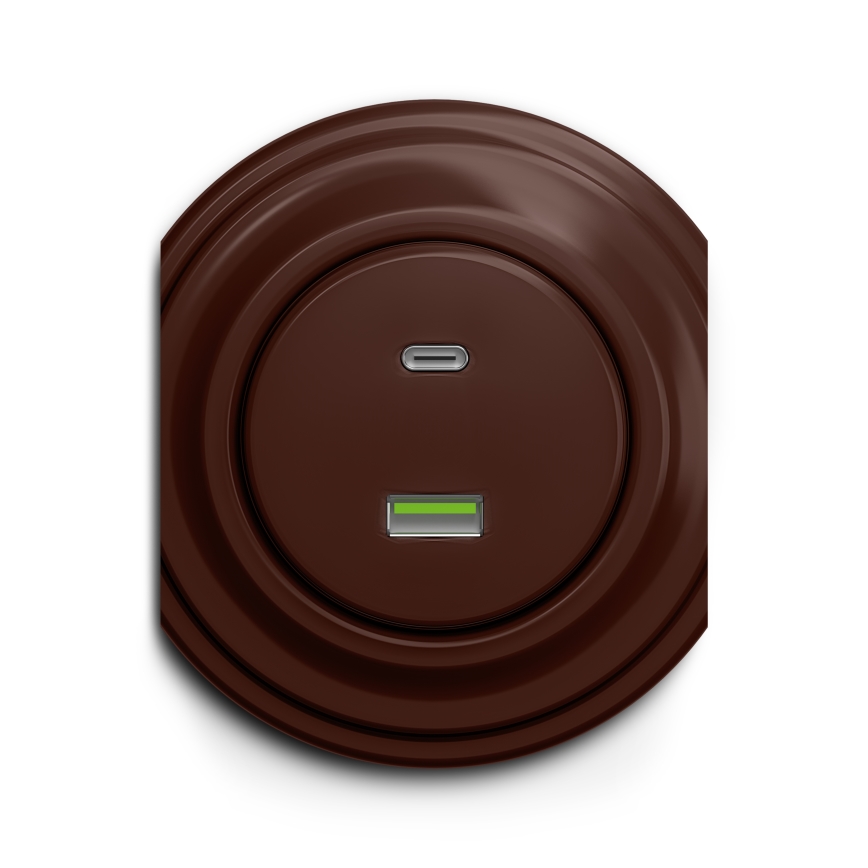 Reblig - Retro USB-pistikupesa A+C raamita, pruun