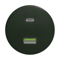 Reblig - Retro USB-pistikupesa A+C raamita roheline