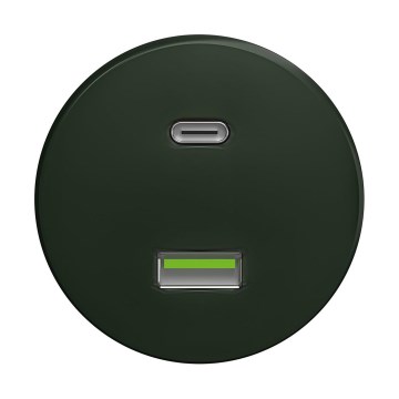 Reblig - Retro USB-pistikupesa A+C raamita roheline