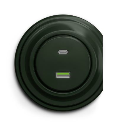 Reblig - Retro USB-pistikupesa A+C raamita roheline