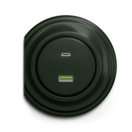Reblig - Retro USB-pistikupesa A+C raamita roheline