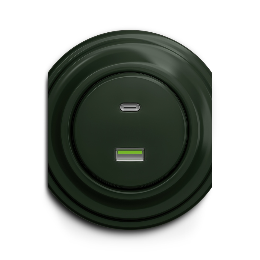 Reblig - Retro USB-pistikupesa A+C raamita roheline