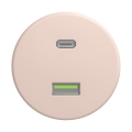 Reblig - Retro USB-pistikupesa A+C, raamita, vanaroosa