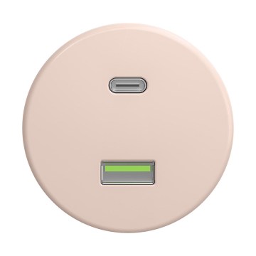Reblig - Retro USB-pistikupesa A+C, raamita, vanaroosa