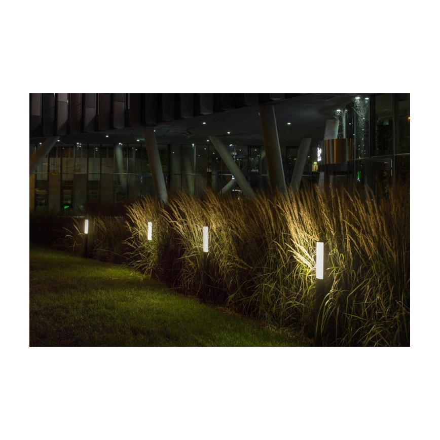 RED - Design Rendl - R10548 - LED Välivalgusti VADIS LED/8W/230V IP54