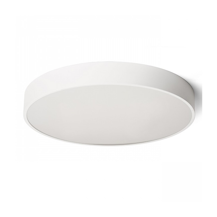 RED - Design Rendl - R13334 - LED Laevalgusti MEZZO LED/100W/230V valge