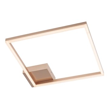 Redo 01-1639 - hämardatav LED-laelamp KLEE LED/30W/230V 45x45 cm kuldne
