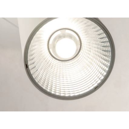 Redo 01-1970 - LED Hämardatav lühter ESSENCE LED/24W/230V CRI 90 3000K valge