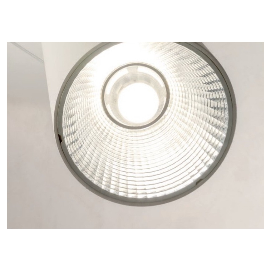 Redo 01-1970 - LED Hämardatav lühter ESSENCE LED/24W/230V CRI 90 3000K valge