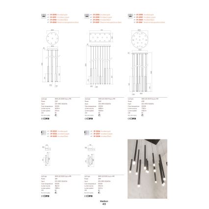 Redo 01-2033 - LED Seinavalgusti MADISON 4xLED/4W/230V kuldne