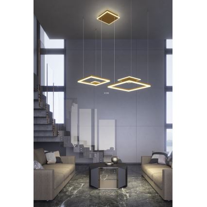 Redo 01-2615 - LED-hämardatav kaablile riputatav lühter SIGUA LED/137W/230V CRI 90 kuldne