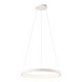 Redo 01-2672 - ICONIC LED hämardatav ripatslaelamp kaabliga LED/50W/230V läbimõõt 58 cm valge
