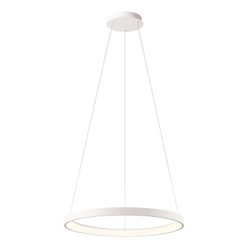 Redo 01-2672 - ICONIC LED hämardatav ripatslaelamp kaabliga LED/50W/230V läbimõõt 58 cm valge