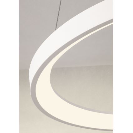 Redo 01-2672 - ICONIC LED hämardatav ripatslaelamp kaabliga LED/50W/230V läbimõõt 58 cm valge