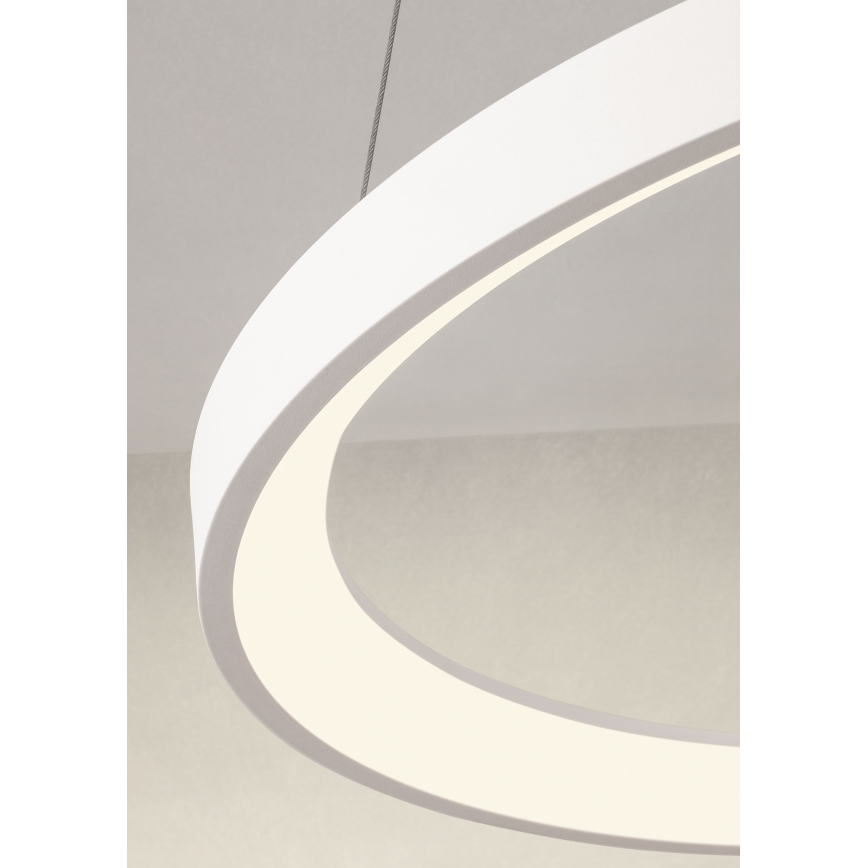 Redo 01-2672 - ICONIC LED hämardatav ripatslaelamp kaabliga LED/50W/230V läbimõõt 58 cm valge