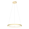 Redo 01-2673 - LED Hämardatav lühter ICONIC LED/50W/230V d. 58 cm kuldne