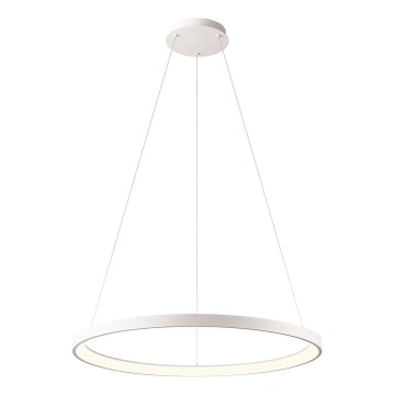 Redo 01-2675 - LED-hämardatav ripplühter kaablil ICONIC LED/60W/230V Ø 78 cm valge