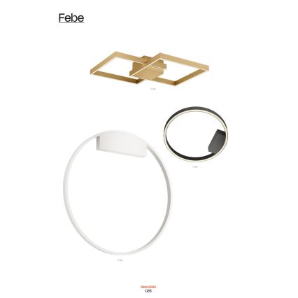 Redo 01-2835 - Hämardatav LED-seinavalgusti FEBE LED/24W/230V kuldne