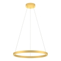 Redo 01-2865 - Hämardatav LED-rippvalgusti kaabliga FEBE LED/37W/230V kuldne