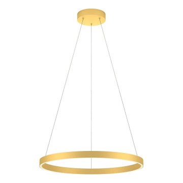 Redo 01-2865 - Hämardatav LED-rippvalgusti kaabliga FEBE LED/37W/230V kuldne