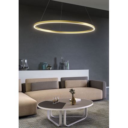Redo 01-2865 - Hämardatav LED-rippvalgusti kaabliga FEBE LED/37W/230V kuldne