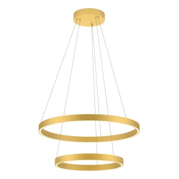 Redo 01-2889 - LED-hämardatav ripplühter kaabliga FEBE LED/62W/230V kuldne