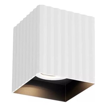 Redo 01-3407 - Suunavalgusti DELPHI 1xGU10/7W/230V valge