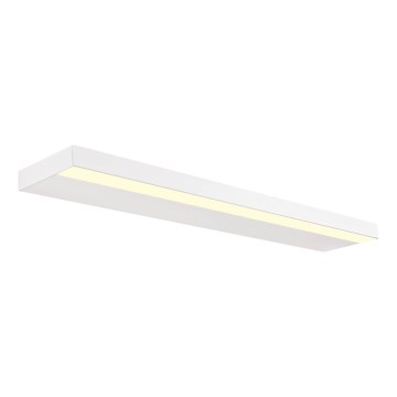 Redo 01-3554 - LED Seinavalgusti SEED LED/30W/230V valge