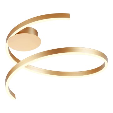 Redo 01-4011 - SCROLL hämardatav LED-laelamp, 38W, 230V, 3000K/4000K/6000K, CRI 90, läbimõõt 60 cm, kuldne