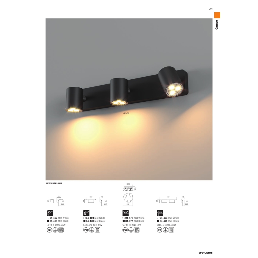 Redo 04-469 - CAMEO suunatav laevalgusti 2xGU10/35W/230V, valge