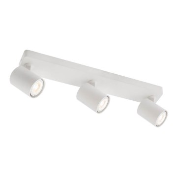 Redo 04-473 - Sihtvalgusti CAMEO 3xGU10/35W/230V valge