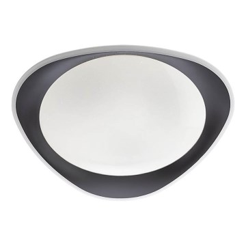 Redo 05-922 - LED Laevalgusti VERENA LED/24W/230V antratsiit