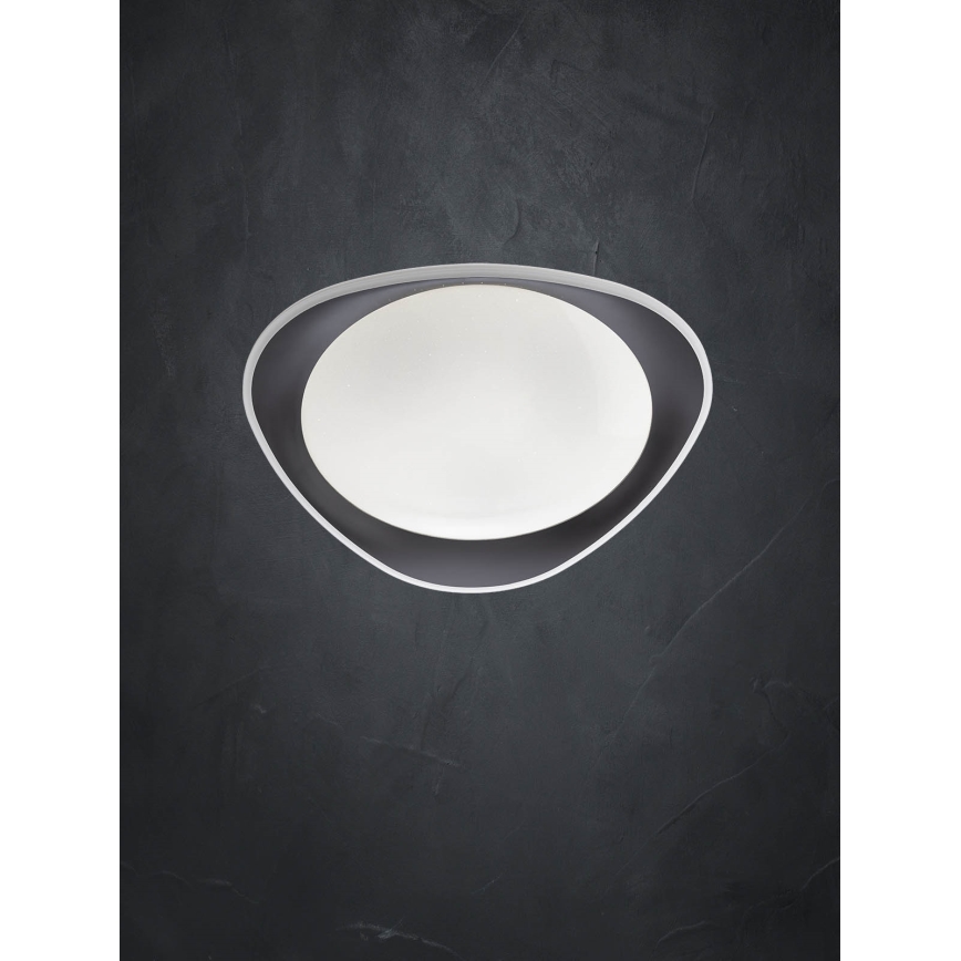 Redo 05-922 - LED Laevalgusti VERENA LED/24W/230V antratsiit