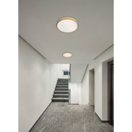 Redo 05-932 - LED Laevalgusti KNOB LED/36W/230V 3000K-6500K 40 cm kuldne