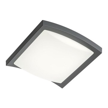 Redo 90007 - LEd Väli laevalgusti TALLIN LED/21W/230V 24,5x24,5 cm IP54 antratsiit