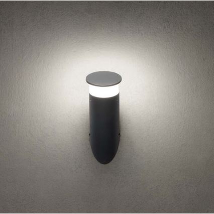 Redo 90073 - LED RGBW Välisseinale paigaldatav seinavalgusti ALGON LED/6W/230V Wi-Fi Tuya IP65 antratsiit