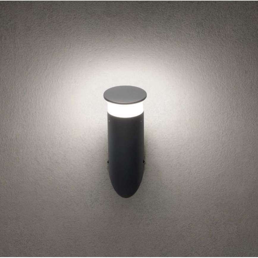 Redo 90073 - LED RGBW Välisseinale paigaldatav seinavalgusti ALGON LED/6W/230V Wi-Fi Tuya IP65 antratsiit