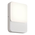 Redo 90128 - LED välisseinavalgusti COLIN, 9 W, 230 V, 4000 K, IP54, valge