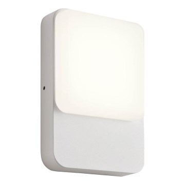 Redo 90128 - LED välisseinavalgusti COLIN, 9 W, 230 V, 4000 K, IP54, valge