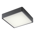 Redo 90157 - LEd Väli laevalgusti MARINA LED/12W/230V 22x22 cm IP65 antratsiit