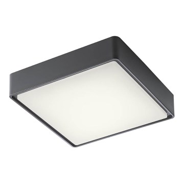 Redo 90157 - LEd Väli laevalgusti MARINA LED/12W/230V 22x22 cm IP65 antratsiit