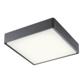 Redo 90158 - LEd Väli laevalgusti MARINA LED/16W/230V 29,6x29,6 cm IP65 antratsiit
