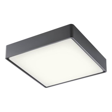 Redo 90158 - LEd Väli laevalgusti MARINA LED/16W/230V 29,6x29,6 cm IP65 antratsiit