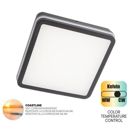 Redo 90288 - LEd Väli laevalgusti ISOLA LED/24W/230V 26x26 cm 3000/4000/6500K IP54 antratsiit