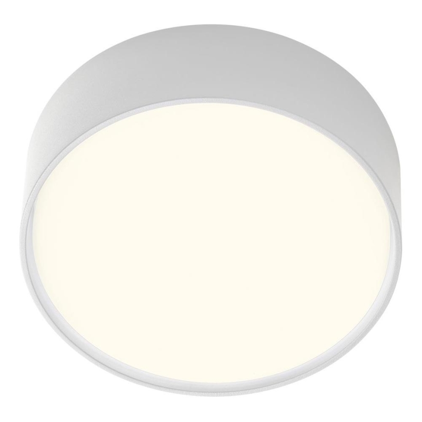Redo 90494 - LEd Väli laevalgusti URANIA LED/10W/230V d. 16 cm 3000K IP65 valge