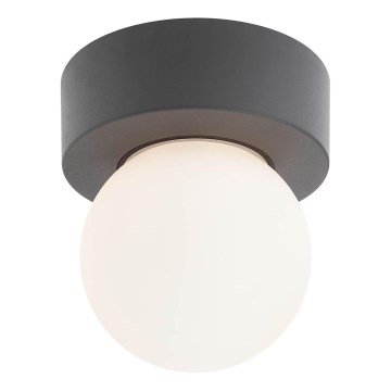 Redo 90641 - Väli laevalgusti BULK 1xE27/28W/230V IP44 antratsiit