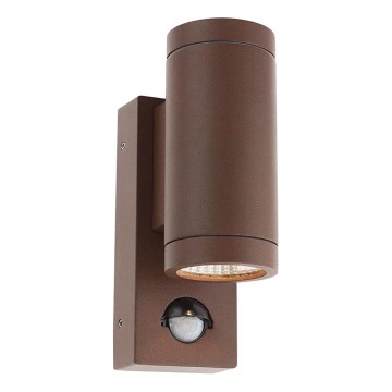Redo 9455 - LED Väli seinavalgusti koos anduriga VINCE 2xLED/3W/230V IP54 pruun